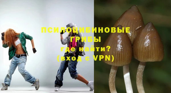 таблы Богданович