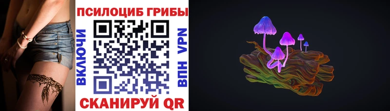 Купить закладки  Покровск  Псилоцибиновые грибы прущие грибы 